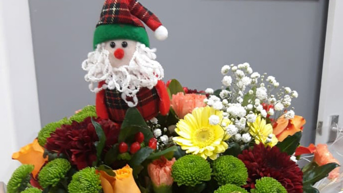 Christmas Flowers
