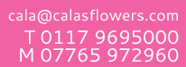 Tel 0117 9695000