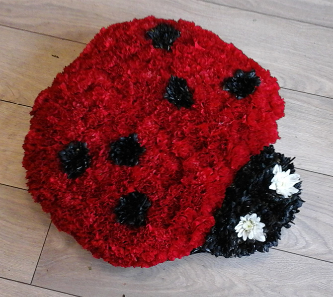 Ladybird floral tribute for funeral Bristol Florist LADYBIRD