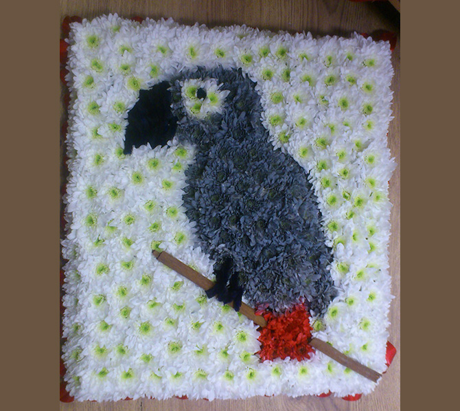 Bird and parrot floral tribute funeral flowers arrangement florist Bristol BIRD