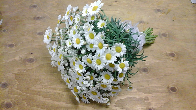 Bridesmaids hand tied bouquets daisy daisies wedding flowers Bristol WBR12